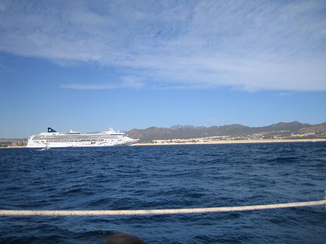 IMG_1176.jpg