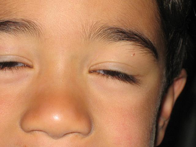 IMG_1210.jpg
