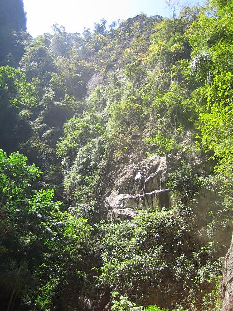 IMG_1353.jpg