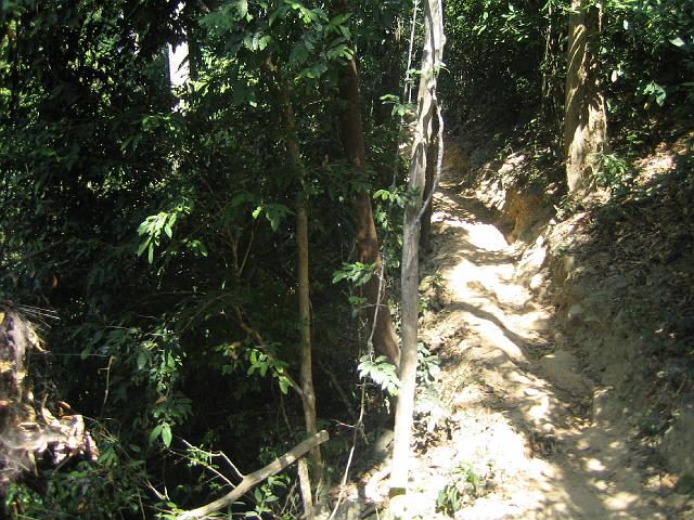 IMG_1427.jpg
