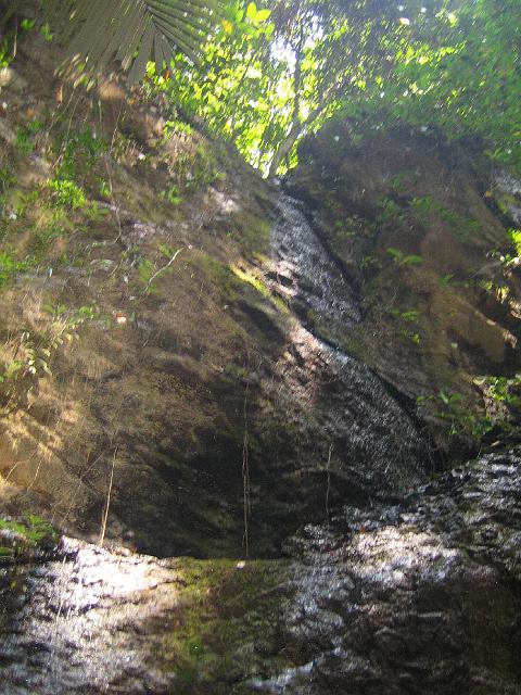 IMG_1447.jpg