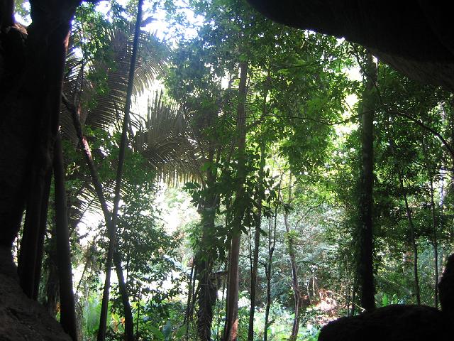 IMG_1459.jpg
