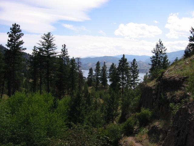 160-6078.jpg