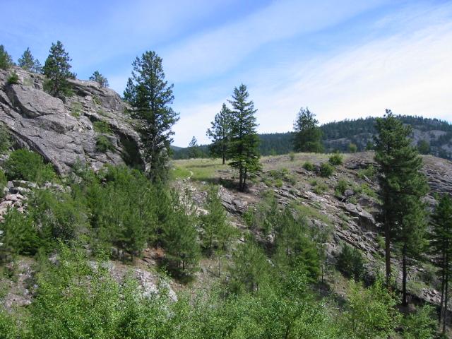 160-6079.jpg