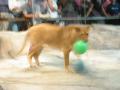 164-6419_IMG