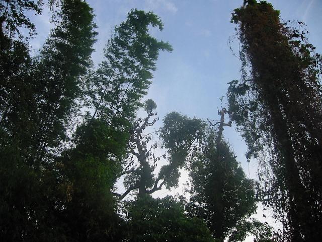 168-6895_IMG.jpg