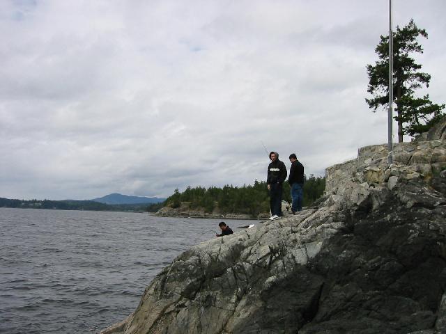 172-7284_IMG.jpg
