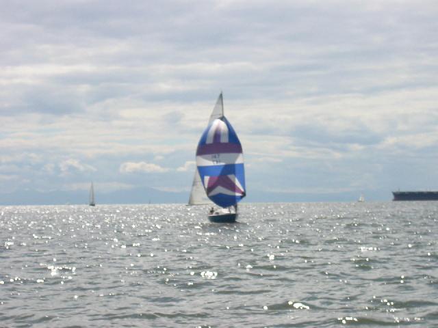 175-7525_IMG.jpg
