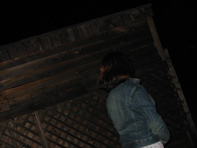 175-7564_IMG.jpg