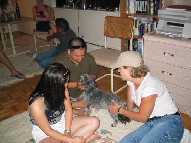 191_9191.jpg