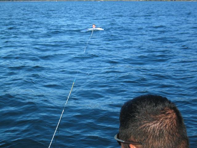 194_9401.jpg