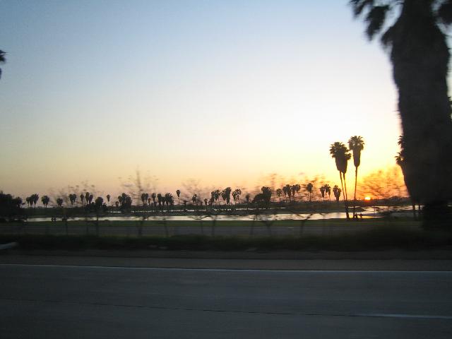 IMG_0029.jpg