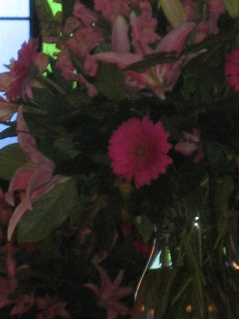 IMG_0643.jpg