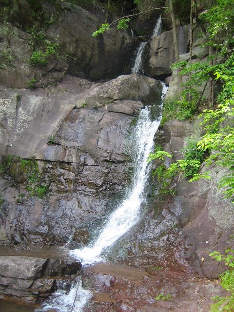 IMG_0750.jpg