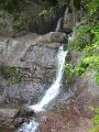 IMG_0750