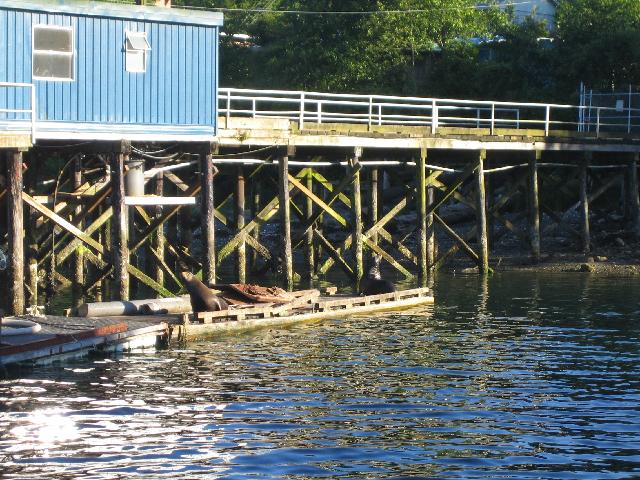 IMG_0830.jpg