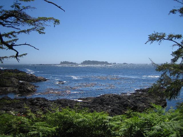 IMG_0838.jpg