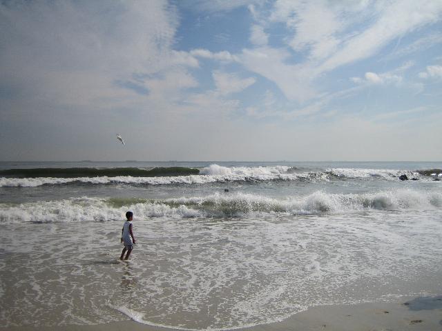 IMG_0972.jpg