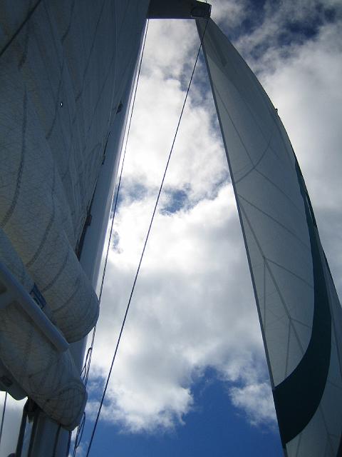 IMG_2043.jpg