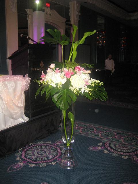 IMG_2372.jpg