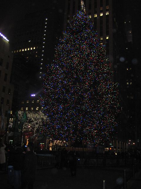 IMG_2653.jpg
