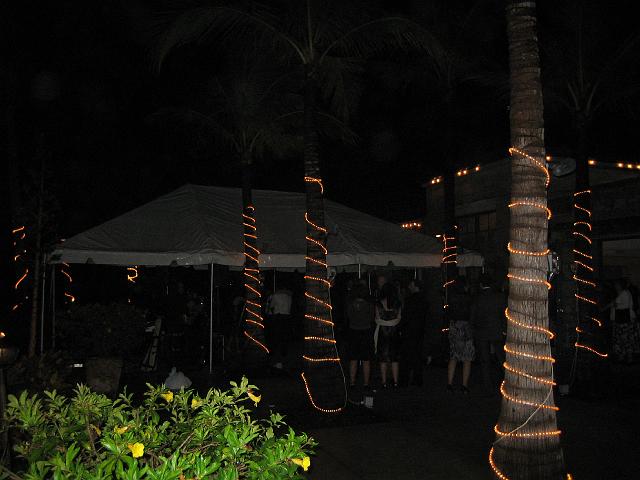 IMG_2864.jpg